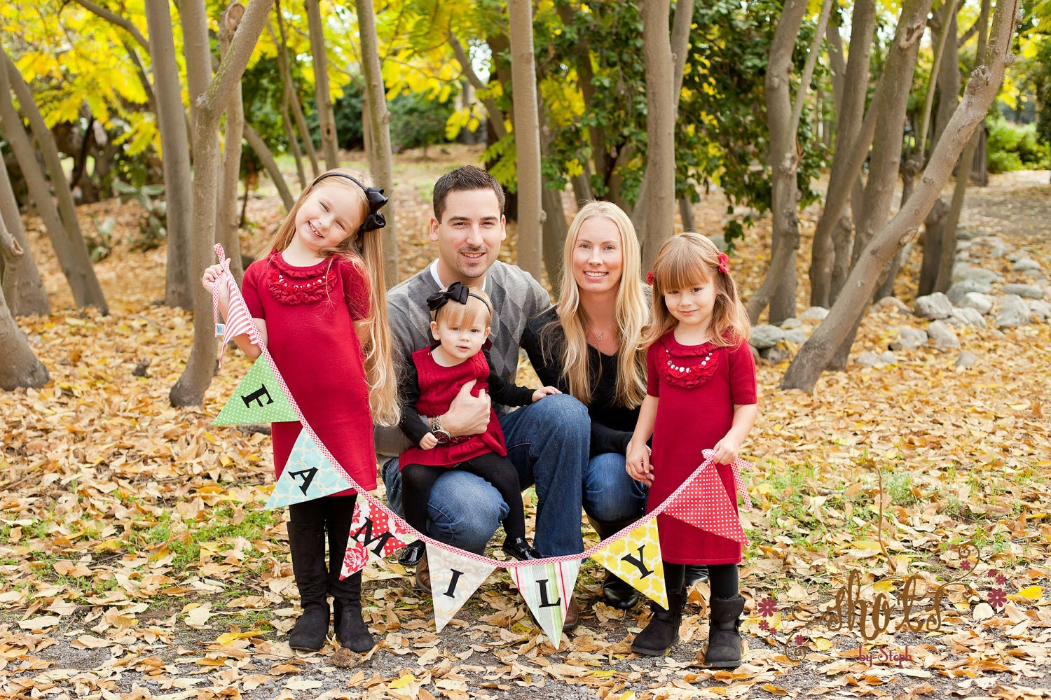 Family, Bunting Flag Photo Prop Decoration. Banner Holiday Decor. Very Chic. Custom Available.