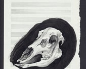 Animal Skull - original painting on music sheet