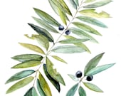 Watercolor Painting Botanical Leaves and Berries Natural History Original Art by Laurie Rohner