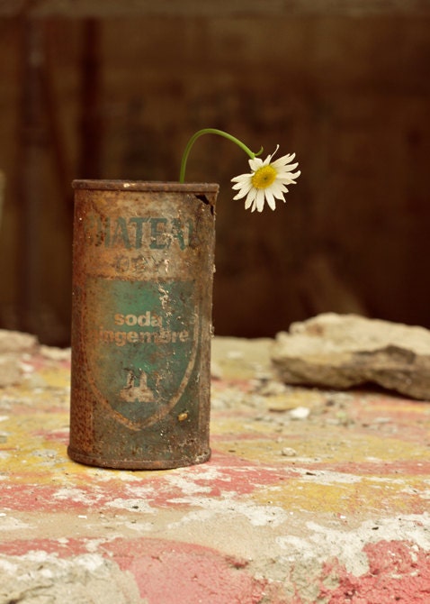Vase - 5x7 Fine Art Photography Print - abandoned decay flower daisy rust nature rural urban blue home decor photo
