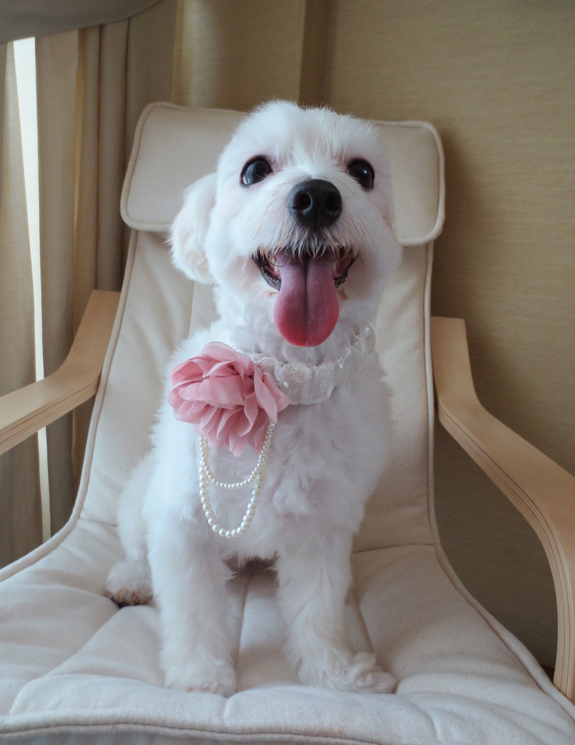 Puce Pink Dog Flower Corsage Collar with Pearls for Small / Medium Dogs