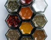 BASIC Housewarming Kit: Unique Wedding Gift. Magnetic Spice Kit Includes 10 Organic Spices to Start Out Together.