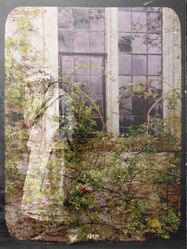 Haunted Forest Art Photo "Ghost of Briar Rose" Woodland Photograph Print - Fairy Tale Photo