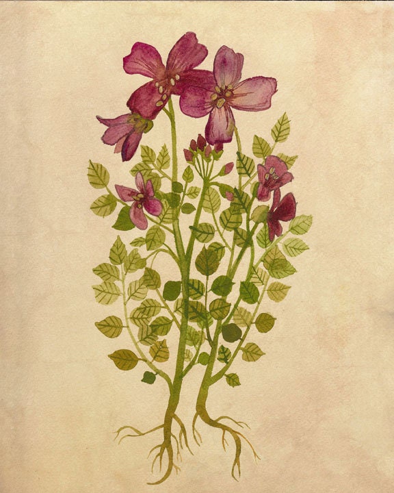 Purple Flowers Print 8"x10" - Rustic Flower Wall Art, Botanical Artwork, Plum Purple Flowers Art