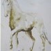Dressage Horse  8 x 10 Giclee Print Matted to 11 x 14