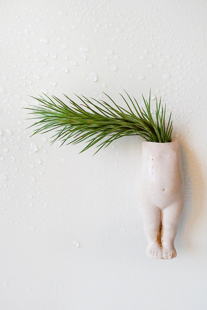 10% SALE My lil Magnet -  Air Plant Garden Growing from Antique German Bisque