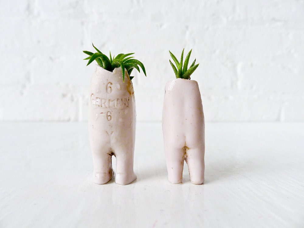 Tweedle Dee & Tweedle Dum Twins - Antique German Bisque Doll Air Plant Garden