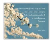 Jane Austen Quote, Love, Literary, Nature Photography Print, Mr. Darcy, Pride and Prejudice