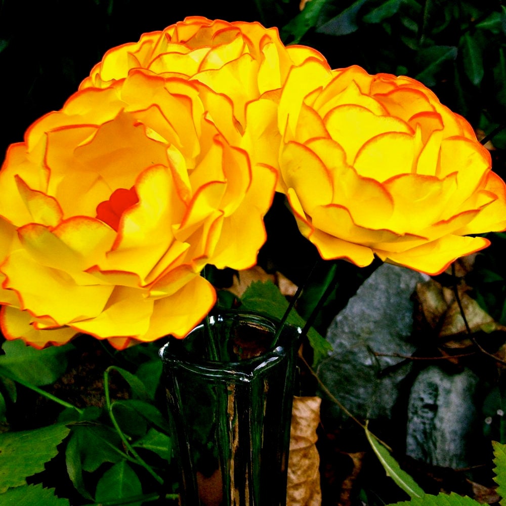 The Begonia  - Handmade Paper Flowers -  Set of 3  Yellow and Red flowers - Custom Colors