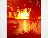 Nature Photography river photo décor bright golden yellow red intense print black tropical summer wall art 8x12 Photograph Red Canopy Sunset