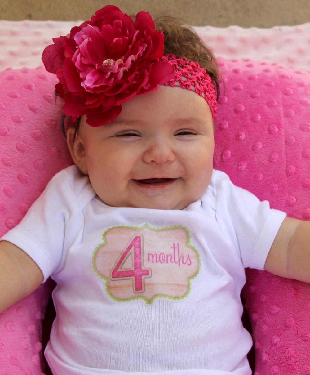 Baby Month Stickers Monthly Onesie Stickers - Brianna - Pink and Tan - Great Baby Shower Gift and Photo Prop