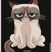 Tard the Grumpy Cat.