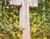 Magnolia Cross 11x14 Fine Art Canvas