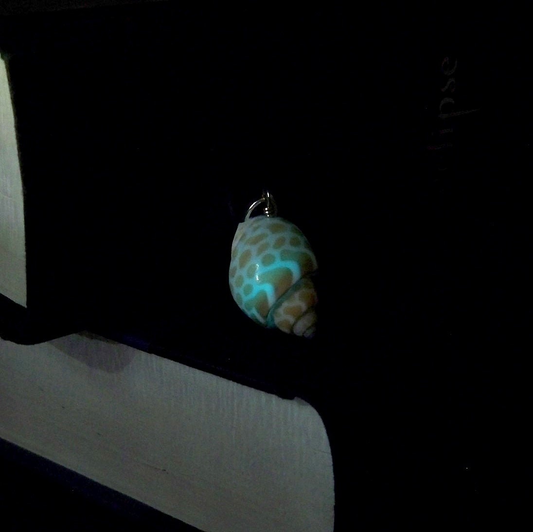 Magical Seashell Necklace - Glow in the Dark Spotted Shell Pendant  - Ocean Blue Glow