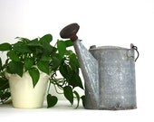 Vintage Galvanized Metal Watering Can