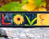 WORDS Inspired by Nature:  LOVE in yellow, red and green (photography, inspirational art, gift, home decor, sunflower)