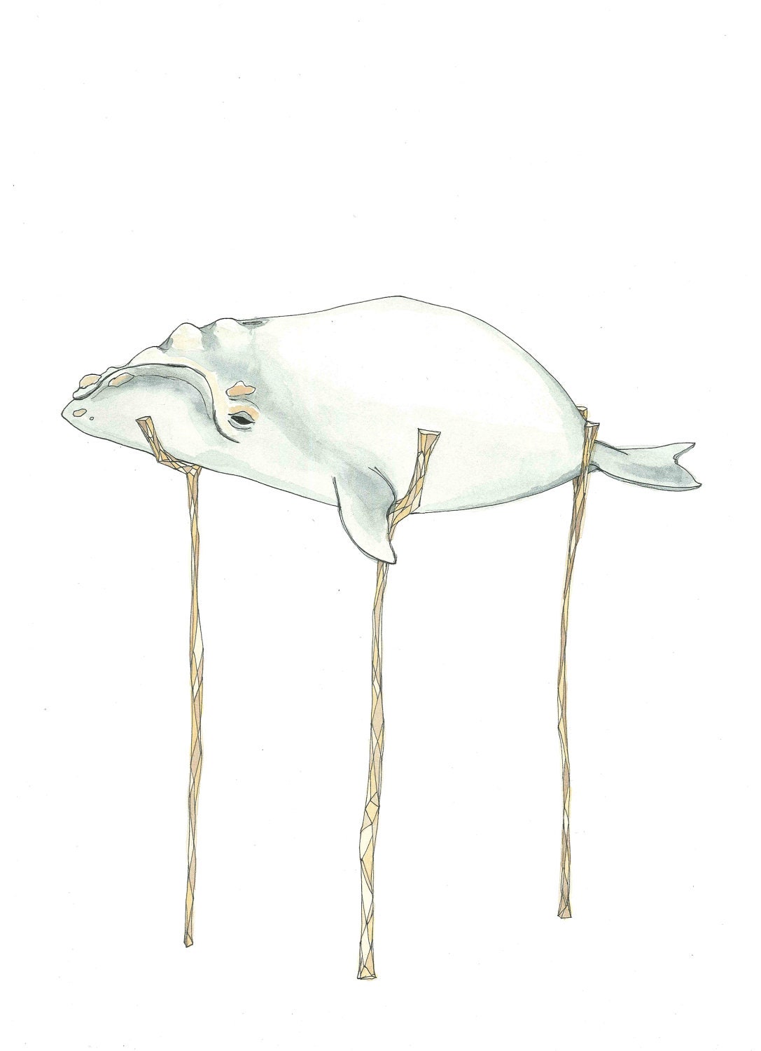 July 5, 2012 (Baby Right Whale) - original ink and watercolor drawing