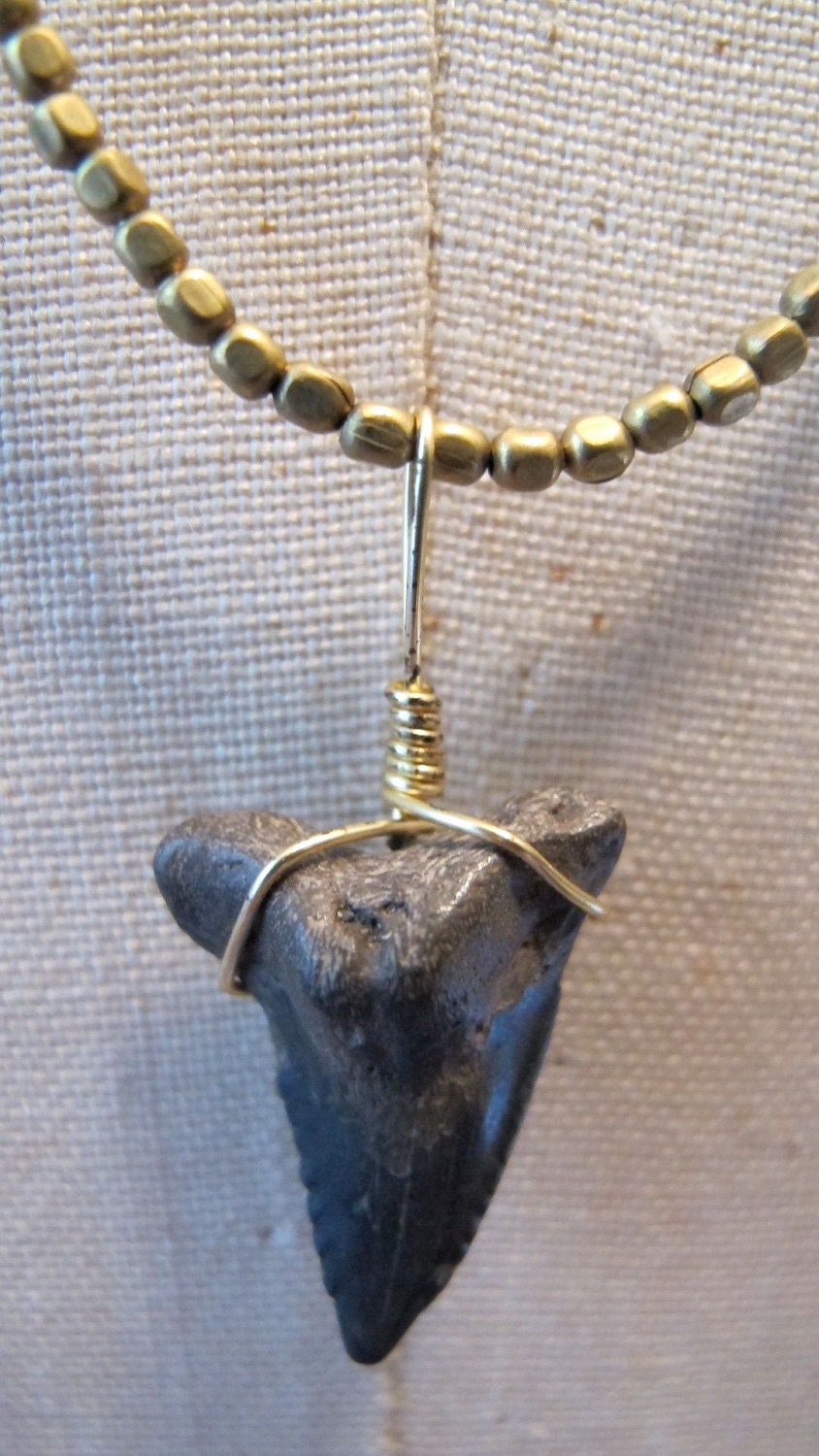 Necklace with Lucky Shark Tooth Strung on Antique Indian Brass Beads