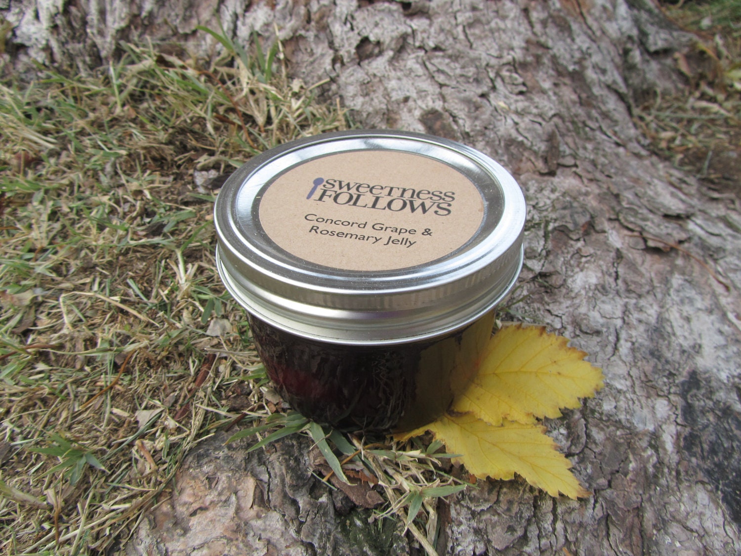 Concord Grape & Rosemary Jelly