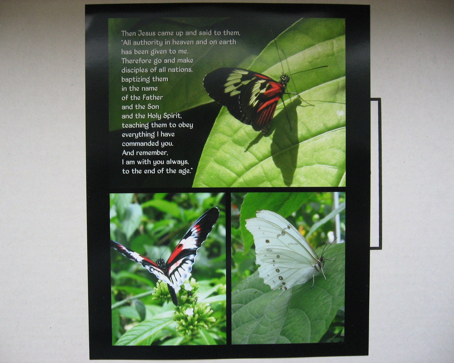 The Great Commission - Scripture Art - Butterflies - Matt 28:18-20 - 8x10 portrait collage photograph OOAK