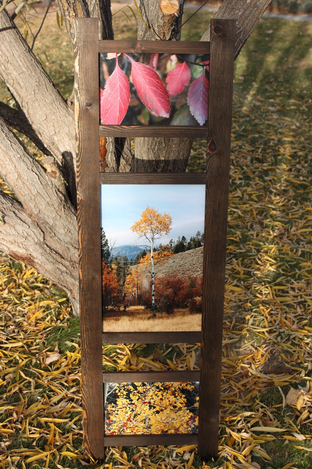 Shades of Fall - Large Wall Art - Custom Framed Fine-Art Photography