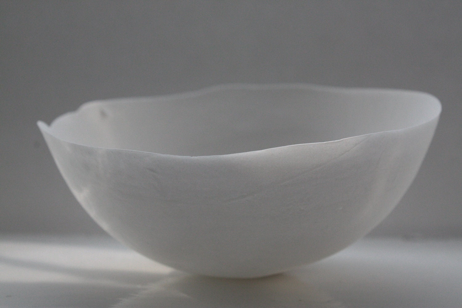 White English fine bone china stoneware bowl