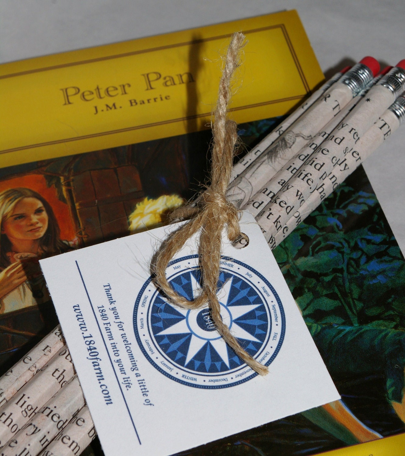 Peter Pan - Hand Wrapped Set of Six Pencils