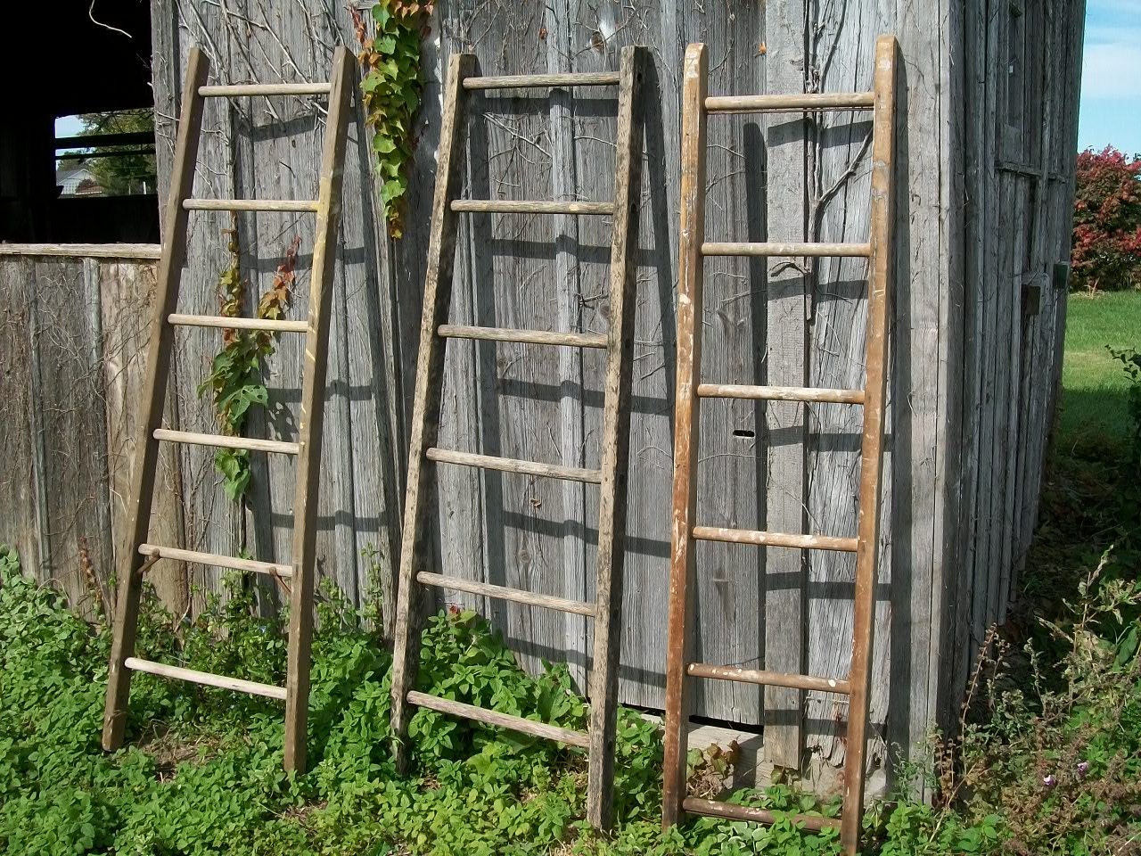 Antique Wood Ladder with 6 Rungs - 72" long - Choose a Vintage Surface or Pick a Color