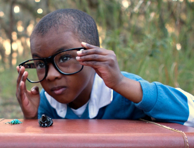 Bug Terrarium Kit, Real Dried Bug or Butterfly Terrarium Kit for Kids
