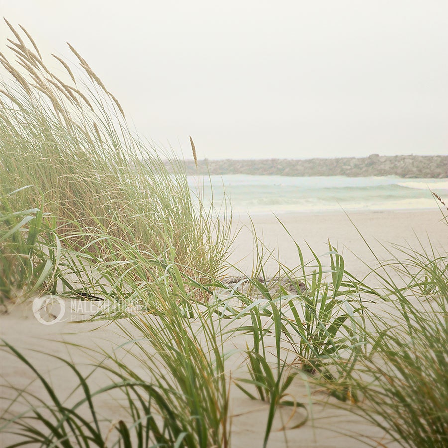 Sandy Beach, Oregon Photography - green grass, sand ocean, neutral home decor photo