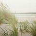 Sandy Beach, Oregon Photography - green grass, sand ocean, neutral home decor photo