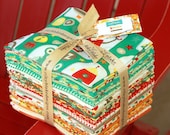 21 Fat Quarters BOY CRAZY for Riley Blake by My Mind's Eye