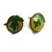 Vintage Earrings: Michigan State Spartan 1970's pierced College Football