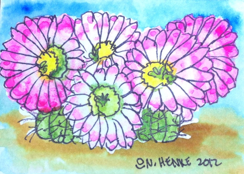 ACEO Five Pink Lacy Cactus Blooms by Nan Henke Original Watercolor and Ink Painting