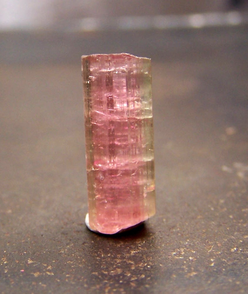 Tourmaline - Watermelon Tourmaline - natural specimen - pink green - bicolor - coyoterainbow - wire wrapping