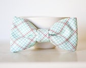 Red and Blue/Green Clip On Bow Tie For Child- Notebook