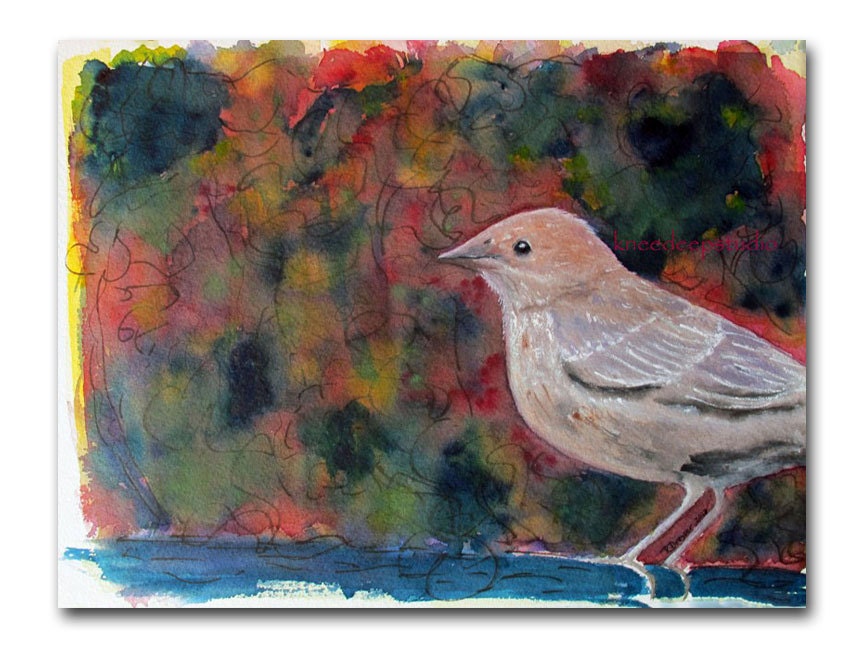 Bird watercolor painting 9x12 fine art jewel tones female brown headed cowbird original wall decor