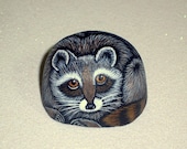 Raccoon, moss terrarium, miniature dish garden, hanging terrarium, shadowbox, blown glass globe, woodland wildlife, hand painted rocks