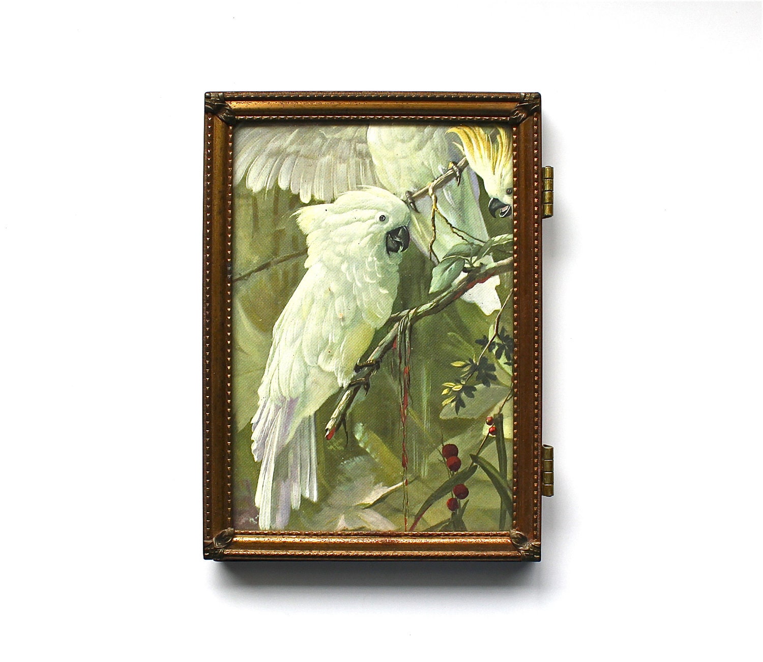 Pretty Bird - Vintage Frame - Vintage Framed Bird Print - Vintage Bird
