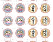 Custom Whimsy Owl Birthday Party Cupcake Toppers or Stickers