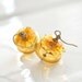 Amber Ruffled Hollow Glass Earrings, Gold Transparent,