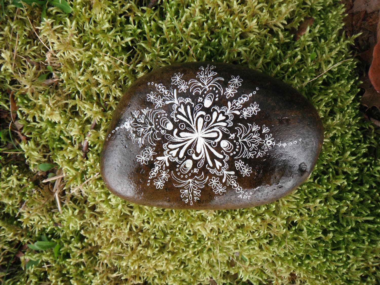 lace rock number 2