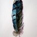 Blue Jay Feather - Nightly Study 416 - Original Watercolour