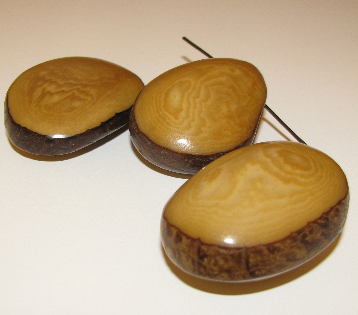 One Brown Tagua Nut Bead SD Flattened Nuts by EcoBeadsTagua