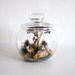 RESERVED FOR AMANDA Vintage Terrarium