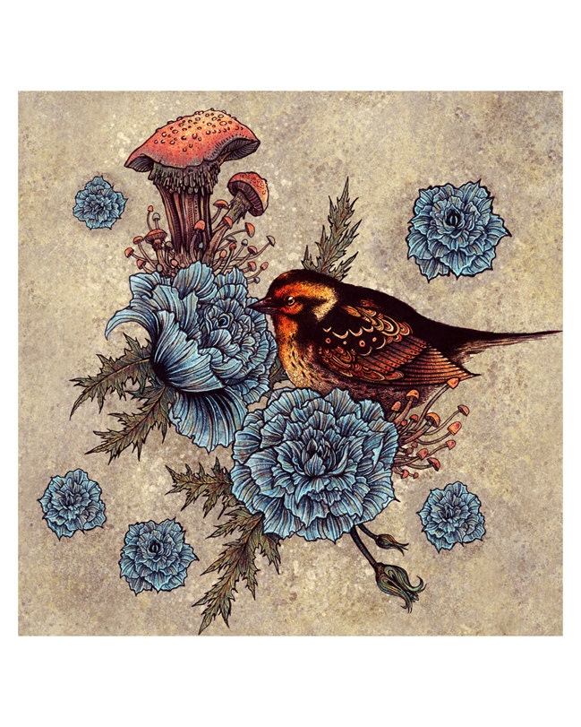 Blue Rose Bird 8x10 Print