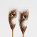 COPPER Peacock Feathers Wedding Toasting Champagne Flutes Hand Painted,set of 2 Great Wedding Gift