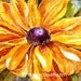 BLACK EYED SUSAN -Print of Original Watercolor Painting