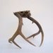 Rustic Woodland Deer Antlers Brown Beige - Real Deer Antlers