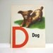 Vintage Letter D Children's Book Illustration, Puppy Dog Art, Drawing, Monogram, Initial D, C Wall Decor, Lithograph, 1940s Litho